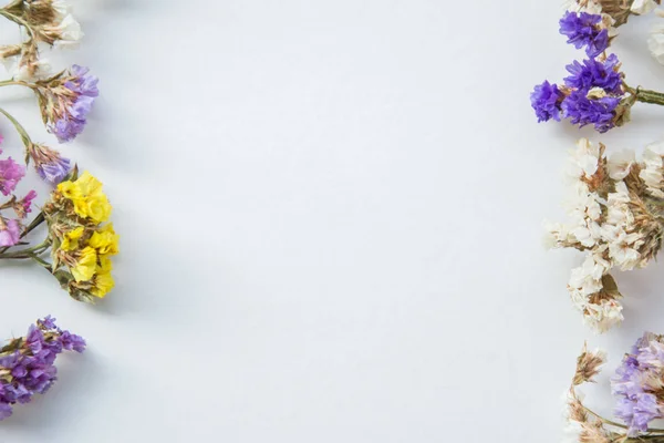 Flores Secas Multicolores Sobre Fondo Madera Planta Estatice Limonio Colorido — Foto de Stock
