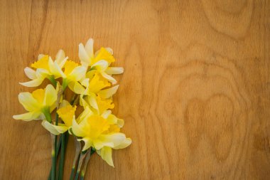 Ahşap zemin üzerinde güzel sarı nergisler, parlak stüdyo görüntüleri, kopyalama alanı, metin için boş alan