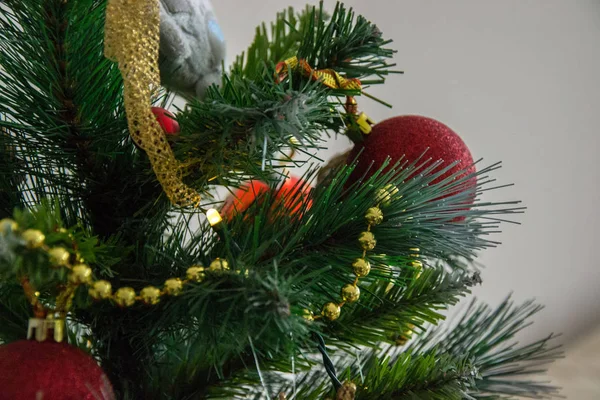 Kerstversiering Kerstspeelgoed Aan Dennenboom Vakantieconcept Met Glanzende Ballen Dennentakken — Stockfoto