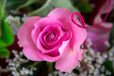 Güzel pembe güller, bir dükkandaki çiçeğe yakın çekim, seçici odak, 8 Mart tatili için çiçek buketi.