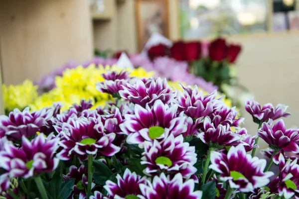 Ramo Crisantemo Bastante Colorido Una Floristería Primer Plano Ramo Flores — Foto de Stock