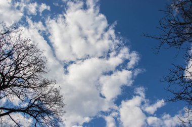 Güzel bulutlar mavi gökyüzüne ve dağların ve ağaçların siluetlerine karşı, gündüz vakti ormanda