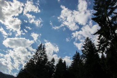 Güzel bulutlar mavi gökyüzüne ve dağların ve ağaçların siluetlerine karşı, gündüz vakti ormanda