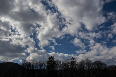 Güzel bulutlar mavi gökyüzüne ve dağların ve ağaçların siluetlerine karşı, gündüz vakti ormanda