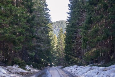 Dağlarda kış, arabasız, karla kaplı güzel bir yol, karlı ağaçlar ve mavi gökyüzü