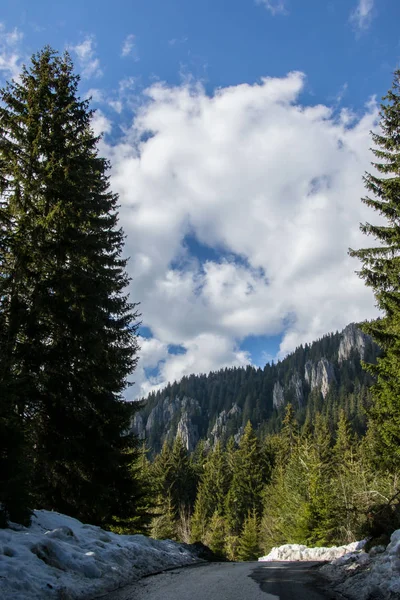 Inverno Montagna Bella Strada Innevata Senza Auto Alberi Innevati Cielo — Foto Stock