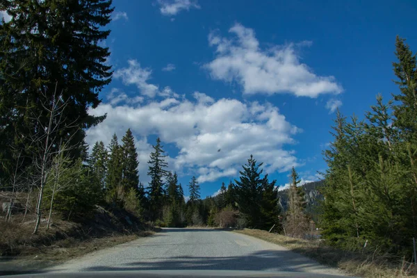 Camino Asfalto Vacío Montañas Árbol Lado Temporada Invierno — Foto de Stock