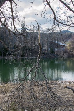 Dağ manzarası, mavi gökyüzü, göl ve ağaçlar, orman manzarası, yıkılmış ağaç dalı, Smolyan, Bulgaristan