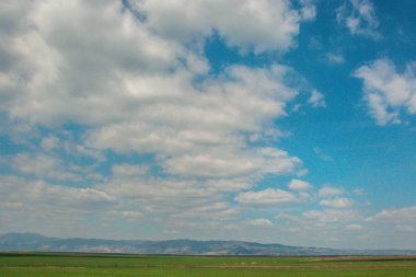 Taze yeşil çimenler, güzel mavi gökyüzü ve beyaz bulutlar.