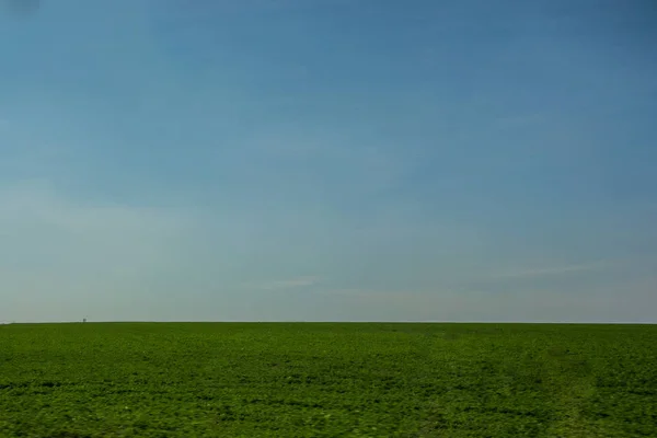 Campo Hierba Verde Fresca Hermoso Cielo Azul Con Nubes Blancas — Foto de Stock