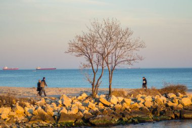 Sahilde, dışarıda, gün batımında, ağaçlarda ve kayalıklarda yürüyen insanlar.