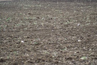 Taze sürülmüş bakir tarlalar, doğal arka plan, ekilmek için toprak, tarım arazisi, çayır.
