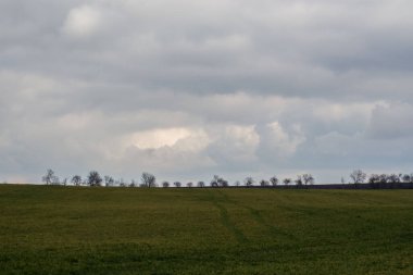Yeşil çayır, tarım alanı, bulutlu hava, doğal arka plan, arkada ağaçlar.
