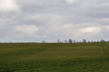 Yeşil çayır, tarım alanı, bulutlu hava, doğal arka plan, arkada ağaçlar.