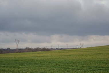 Yeşil çayır, tarım alanı, bulutlu hava, arkada elektrik direkleri, doğal arka plan.
