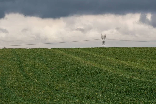 Groene Grasweide Agrarisch Veld Bewolkt Weer Elektriciteitsmasten Achterin Natuurlijke Achtergrond — Stockfoto