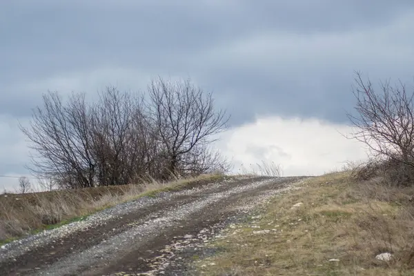 Dirt Road Közel Mezőgazdasági Területen Természet Koncepció Szabadban Útvonal Természetben — Stock Fotó