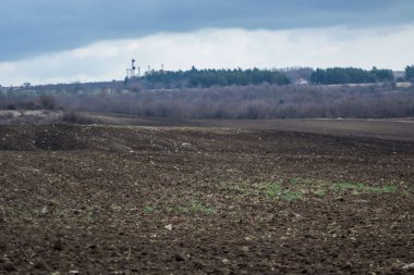 Taze sürülmüş bakir tarlalar, arkasında ağaçlar olan doğal arka plan, orman, ekilen toprak, tarım arazisi, çayır.