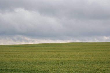 Yeşil çayır, tarım alanı, bulutlu hava, doğal arka plan.
