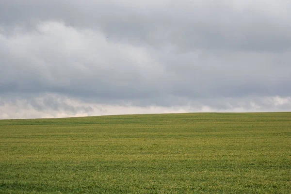 Prato Erboso Verde Campo Agricolo Tempo Nuvoloso Sfondo Naturale — Foto Stock