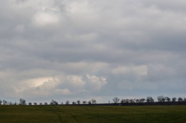 Yeşil çayır, tarım alanı, bulutlu hava, doğal arka plan, arkada ağaçlar.