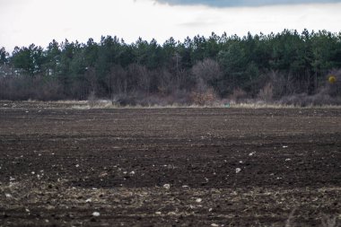 Taze sürülmüş bakir tarlalar, arkasında ağaçlar olan doğal arka plan, orman, ekilen toprak, tarım arazisi, çayır.