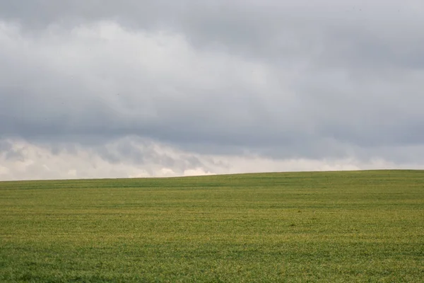 Prato Erboso Verde Campo Agricolo Tempo Nuvoloso Sfondo Naturale — Foto Stock