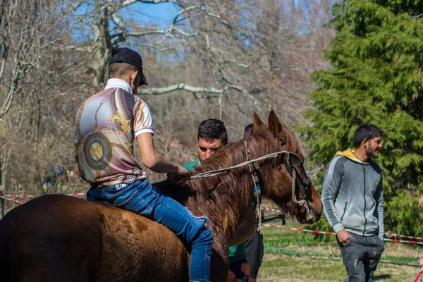 Hombre Con Caballo Caballo Doméstico Arnés Celebración Pascua Del Caballo — Foto de Stock