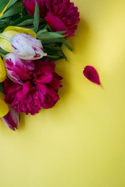 Sarı arka planda güzel bahar laleleri ve bordo şakayıkları, metin için kopyalama alanı, düzlük, kapalı alanlarda bahar çiçekleri