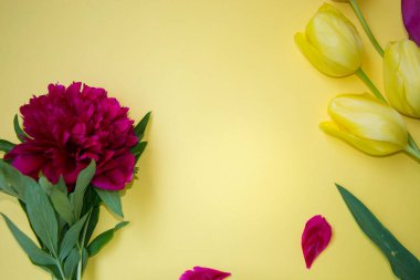 Güzel kırmızı ve sarı laleleri olan çiçek çerçevesi ve soluk arkaplanda şakayık, metin için kopya alanı, düzlük, bahar çiçekleri