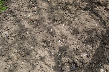 Taze sürülmüş bakir tarlalar, doğal arka plan, ekim için toprak, tarım tarlası, çayır.