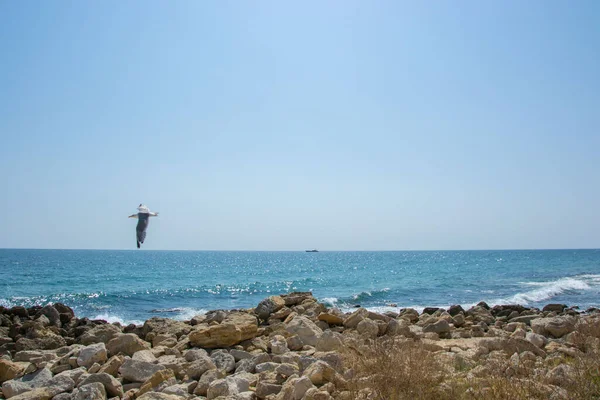 Hermoso Paisaje Playa Salvaje Yate Fondo Día Soleado Olas Agua — Foto de Stock