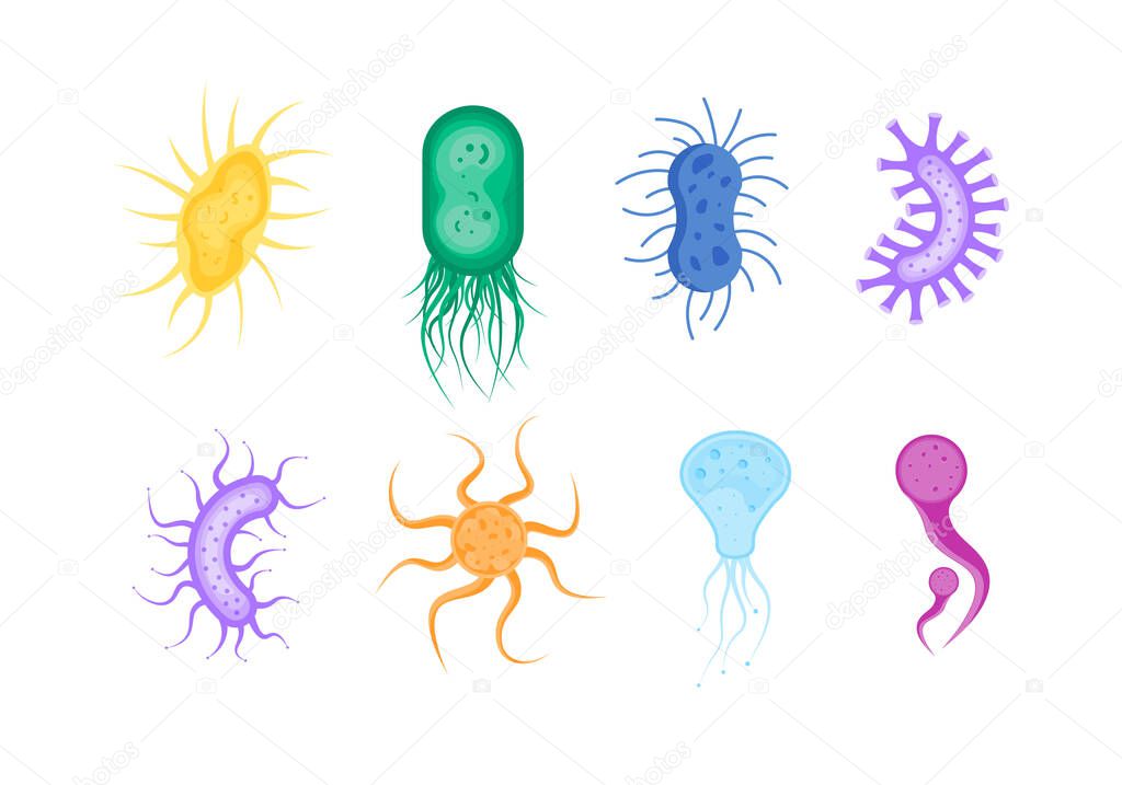 Bacterium, bacteria, microbes