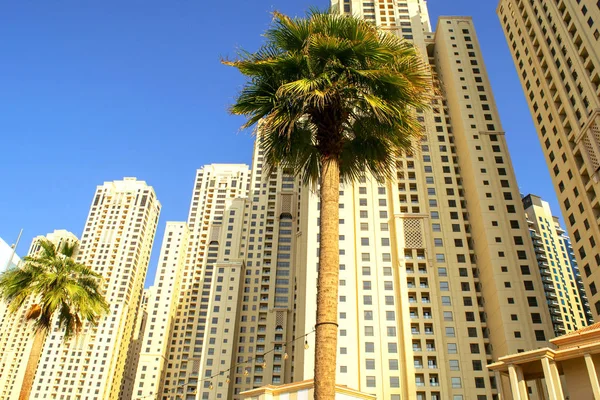 Vista Rua Jbr Com Palmas Residência Praia Jumeirah Novos Edifícios — Fotografia de Stock