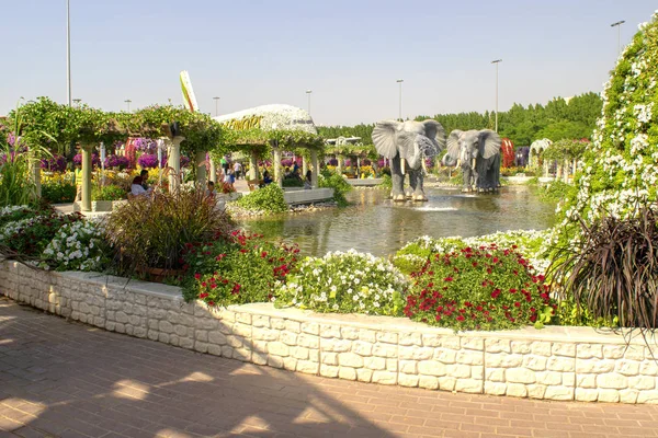 Dubai Emiratos Árabes Unidos Noviembre 2019 Hermosas Decoraciones Florales Miracle — Foto de Stock