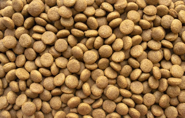 Background of dry dog food. Healthy snack and food.Top view.