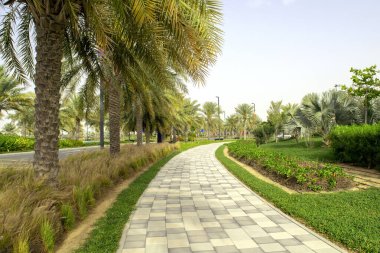 Dubai 'de sakin bir şehir caddesi. Yol boyunca yeşil palmiyelerle döşenmiş kaldırım. Yaz mevsiminde yeşil doğayla uzun ve boş kaldırımlar..
