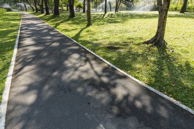 Ağaç dalı yeşil çim ve sp gölgesi ile eski bisikleti yol
