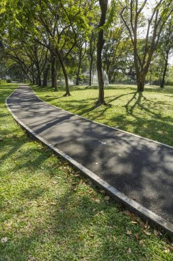 Ağaç dalı yeşil çim ve sp gölgesi ile eski bisikleti yol