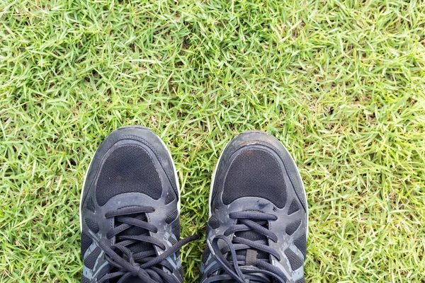 Sneakers Background Green Grass — Stock Photo, Image