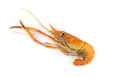 Izgara karides beyaz arka planda izole