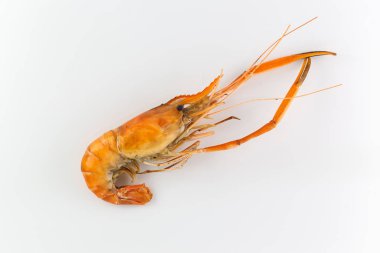Izgara karides beyaz arka planda izole