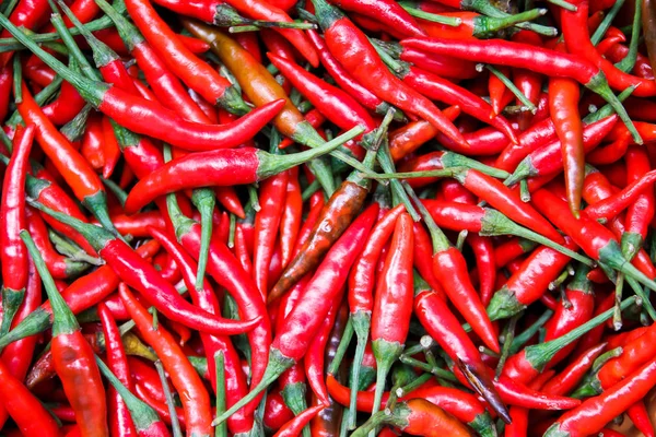 Peperoncino rosso — Foto Stock