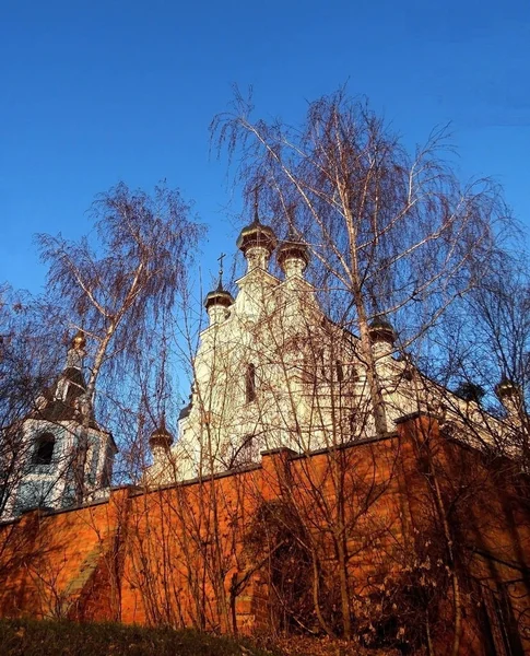 Kharkov Ukrayna Daki Şefaat Katedrali Manzarası — Stok fotoğraf