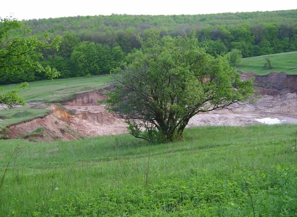 Sand Pit Background Forest Kharkov Region Ukraine — Stock Photo, Image