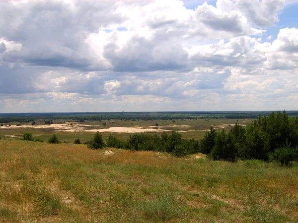 Krajobraz Choinkami Tle Lasu Stepu Wschodniej Ukrainy — Zdjęcie stockowe