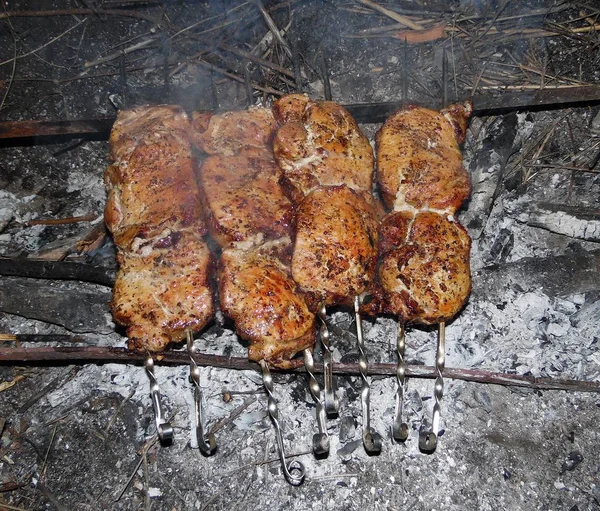 Kebab Parrilla Aire Libre — Foto de Stock