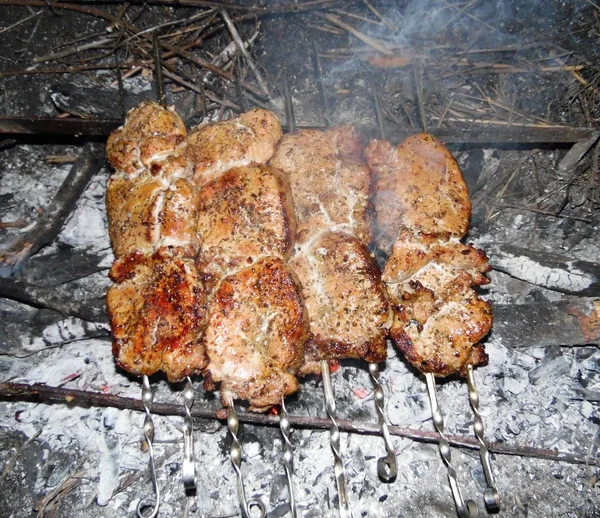 Carne Para Barbacoa Chuleta Cerdo Pinchos Carbón Aire Libre — Foto de Stock