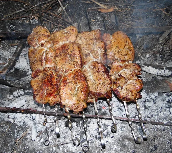 Carne Para Barbacoa Chuleta Cerdo Pinchos Carbón Aire Libre — Foto de Stock