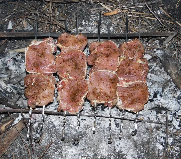 Mangal Için Domuz Pirzolası Açık Havada Kömür Üzerinde Şiş — Stok fotoğraf